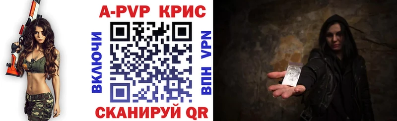 закладка  Выборг  APVP СК 