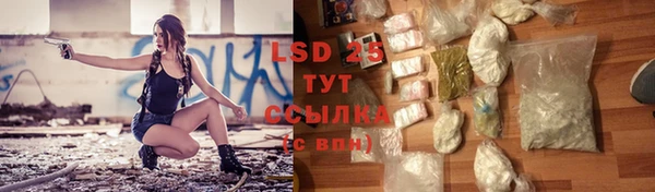 PSILOCYBIN Бронницы