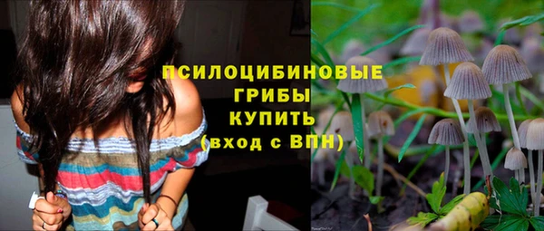 PSILOCYBIN Бронницы
