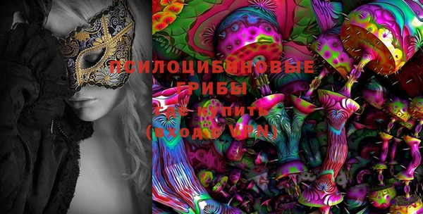 PSILOCYBIN Бронницы
