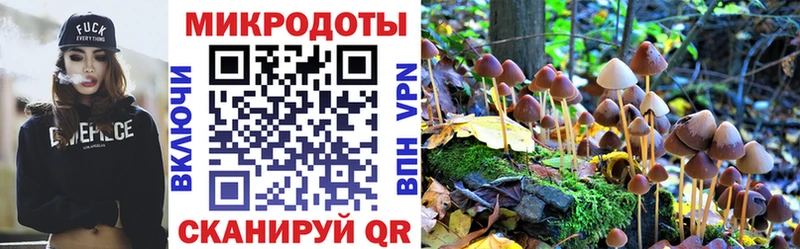 мега ONION продажа наркотиков Выборг Псилоцибиновые грибы Cubensis