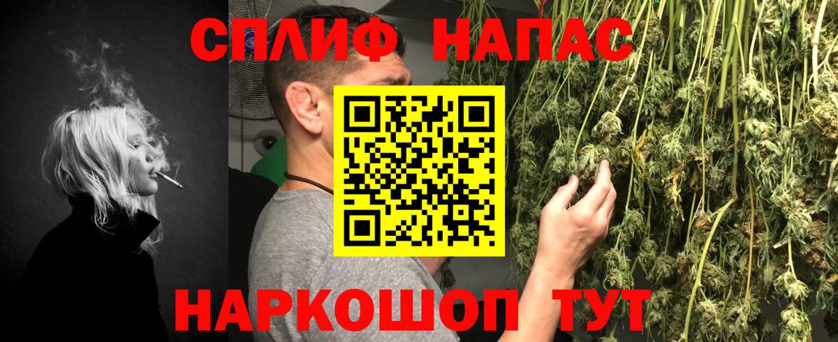 МАРИХУАНА планчик Выборг